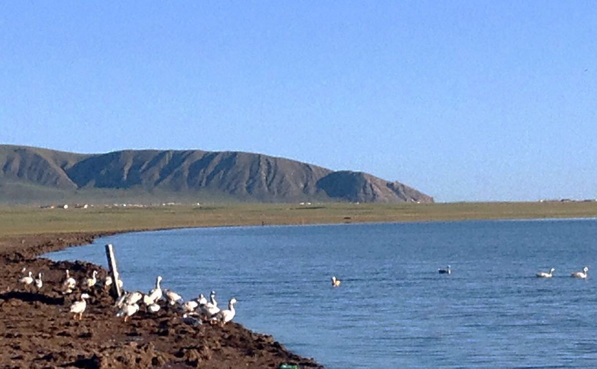 黑马河乡