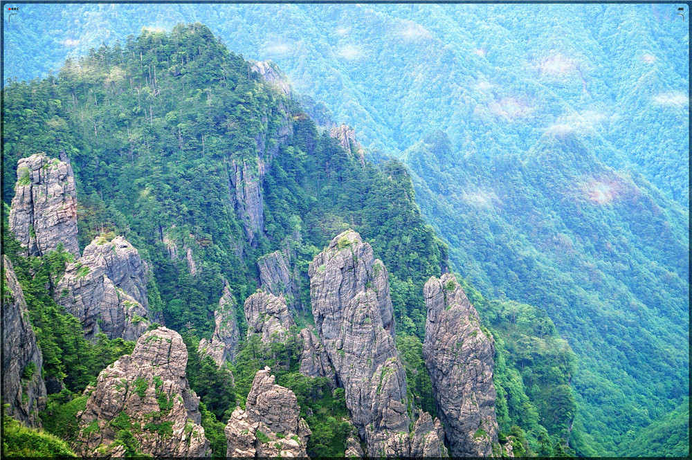 神农架记事 -郑伟华 九湖草暖觅野踪, 秘境奇翠生农神。 巴山清凉润万物, 三省景色入帘新。 神农架以原始、神秘闻名于世,区内山高谷深,林木茂密,气候复杂多变,四季景色迷人。独特的自然环境、人文历史,造就了极其丰富、珍贵的自然和人文景观,也孕育了景色宜人、钟灵毓秀的旅游环境。 地貌景观:主要有红石沟、长岩屋、红花营、神农顶、神农谷、阴峪河大峡谷、神农架群石槽河组地质奇观、大寨湾大峡谷、金丝燕洞等景观。水文景观:神农架山体高大,植被茂密,是一个巨大的储水库,山间溪流密布各条沟谷,深潭、激流湍滩、瀑布展示出别