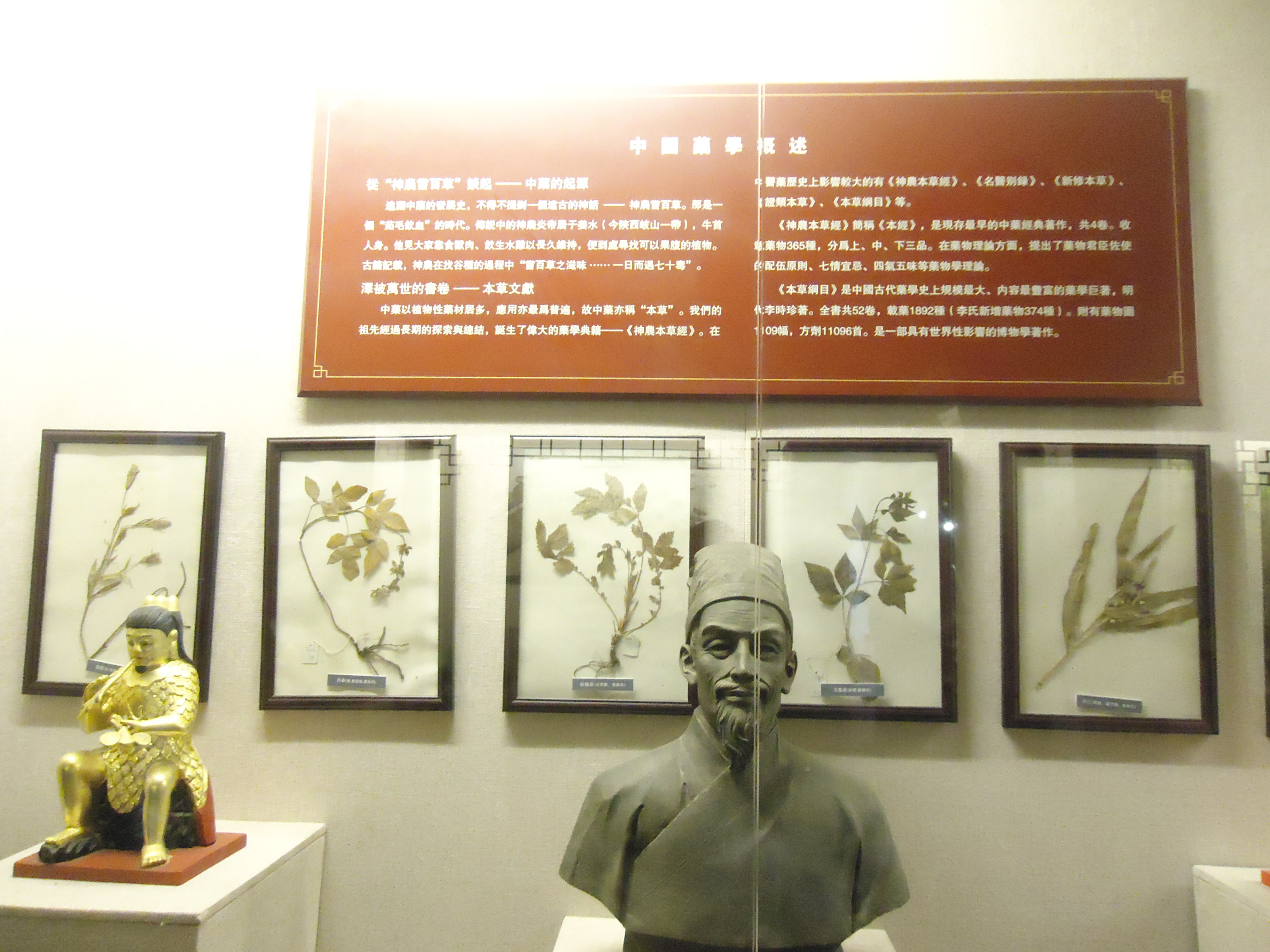 童涵春堂是上海知名的老字号药铺.店内常年有老中医坐堂把脉听诊.