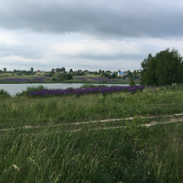 欢在俄罗斯大地~莫斯科,金环小镇,圣彼得堡,贝