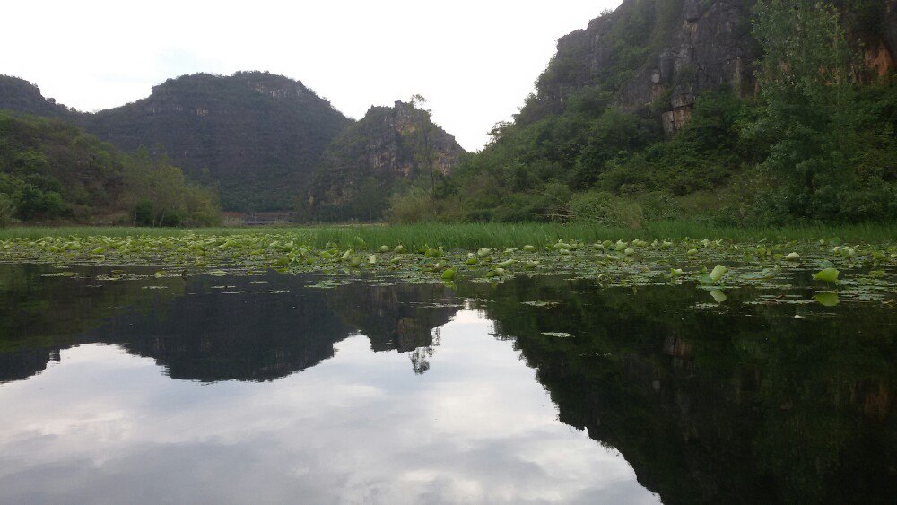 2019普者黑_旅游攻略_门票_地址_游记点评,文山旅游景点推荐 - 去哪儿