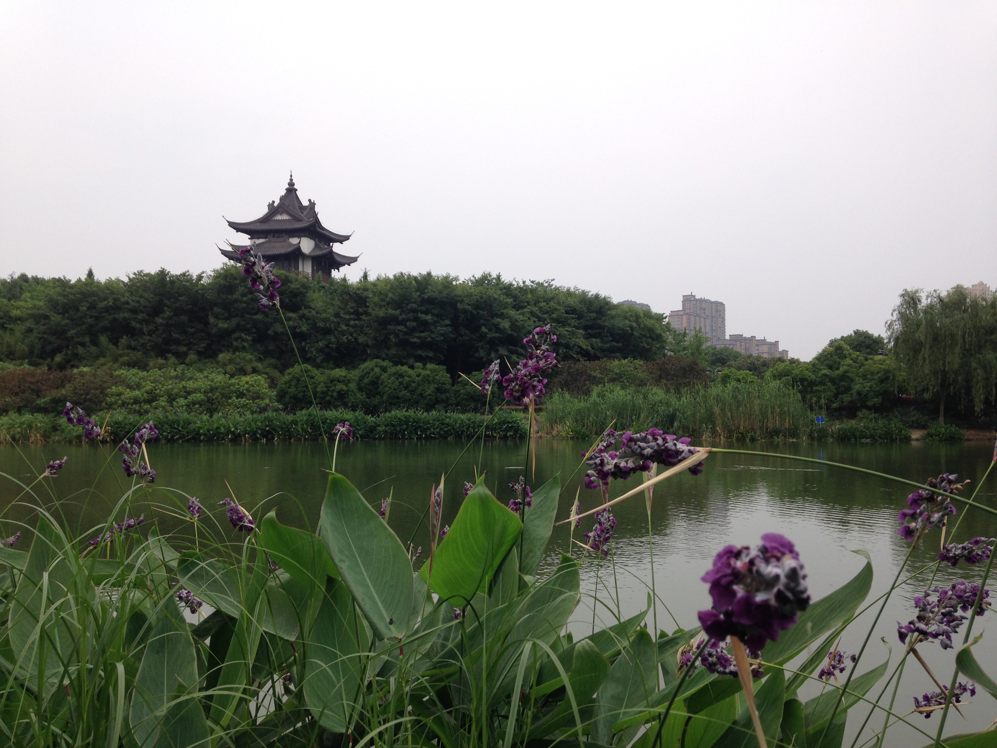 常州金坛区一日游:愚池,顾龙山,宝塔寺,长荡湖,普门寺