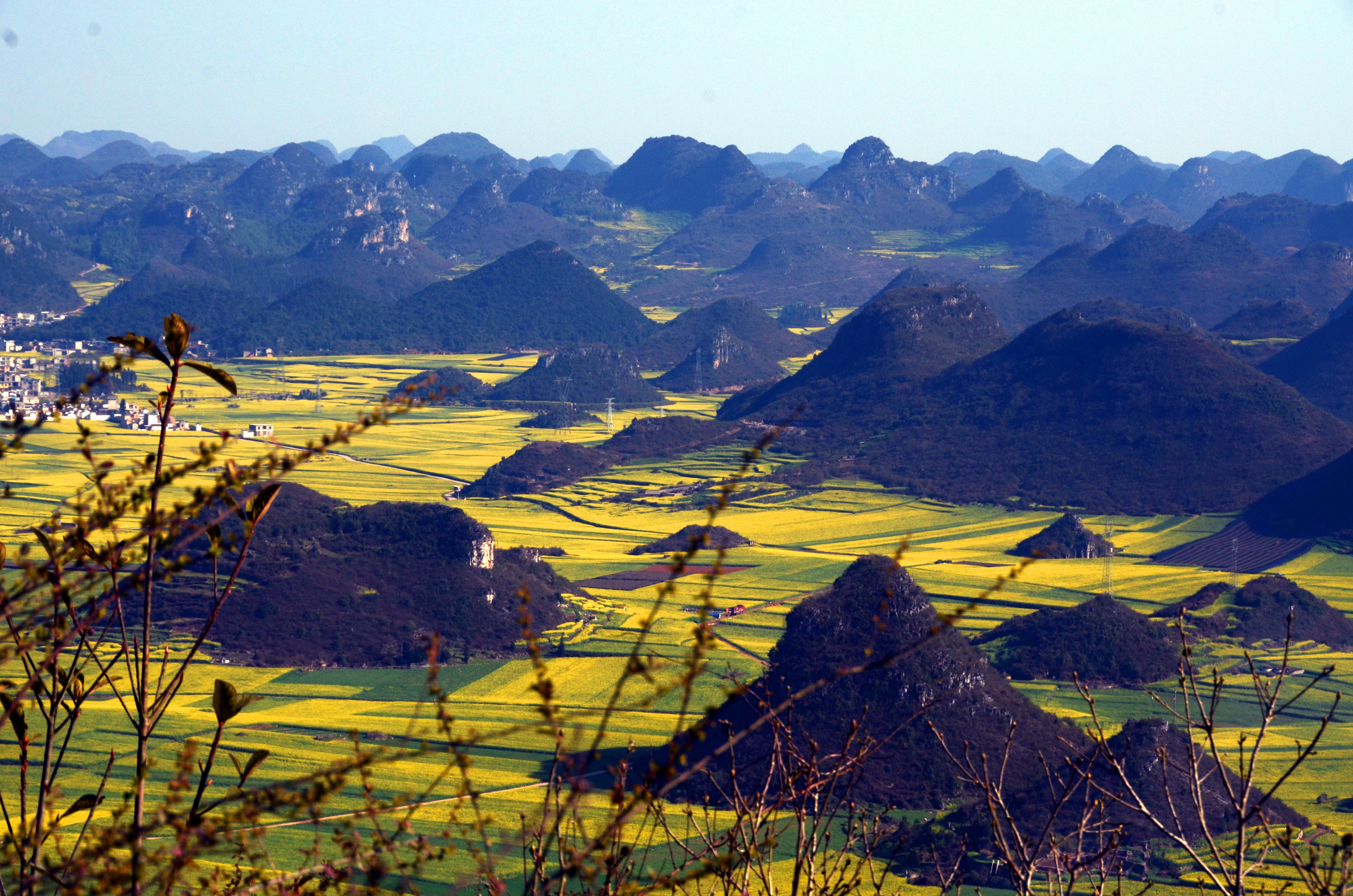 金鸡峰丛