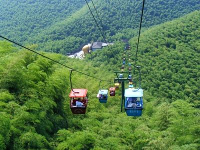 南山竹海
