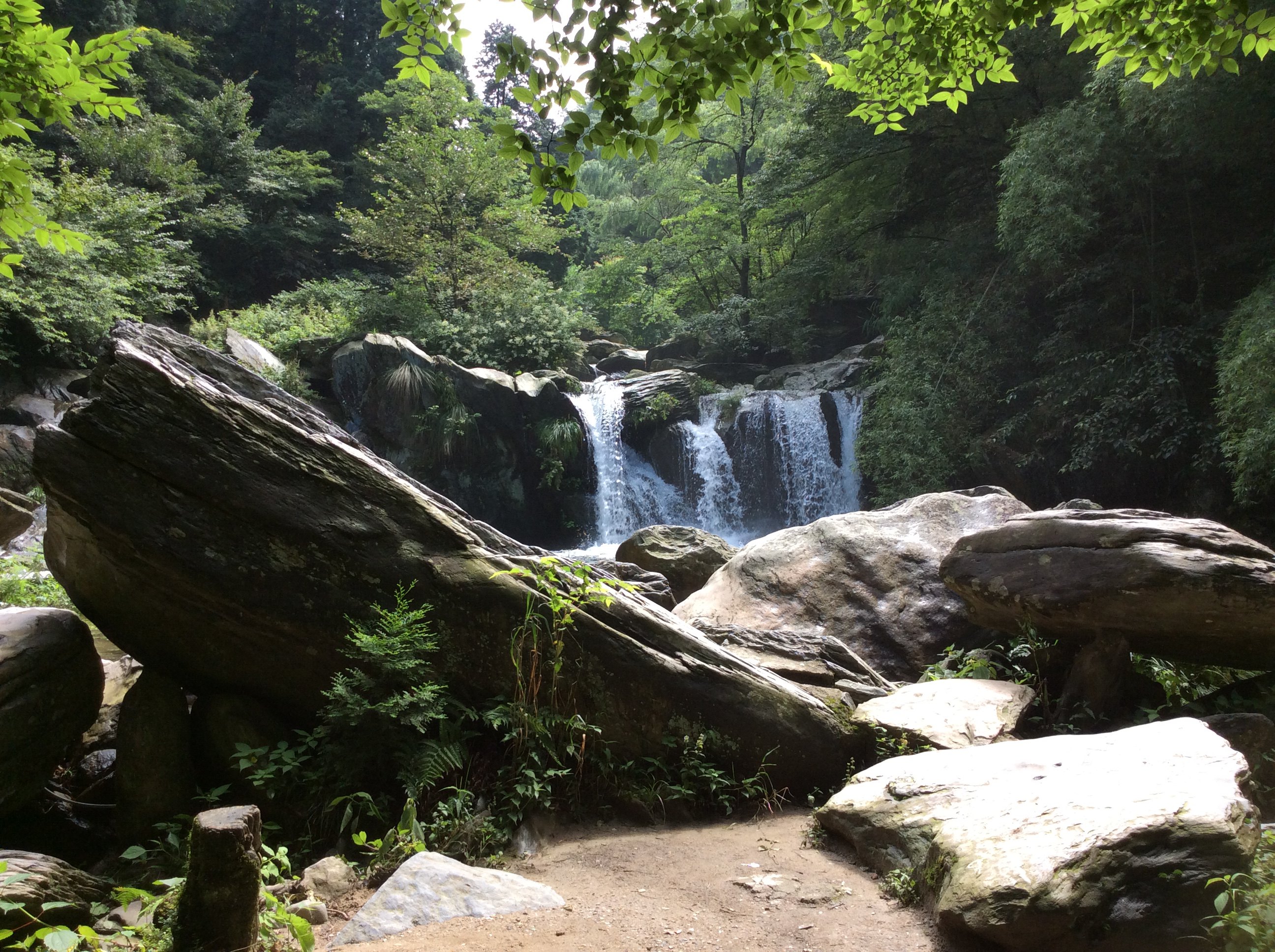 峨峨匡庐山 渺渺江湖间#我和老公的庐山休闲避暑之旅