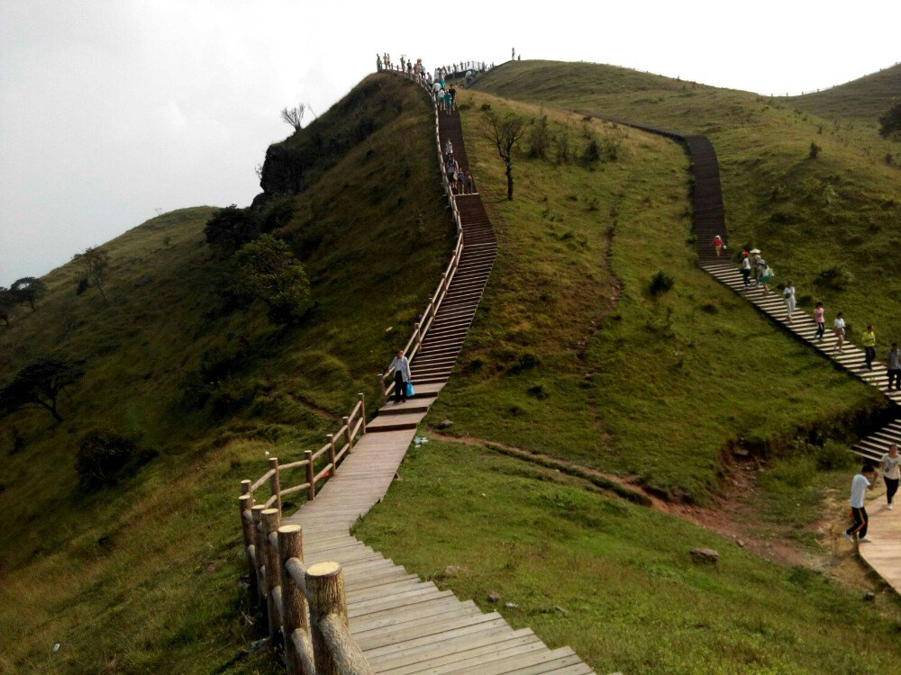 天龙顶国家山地公园