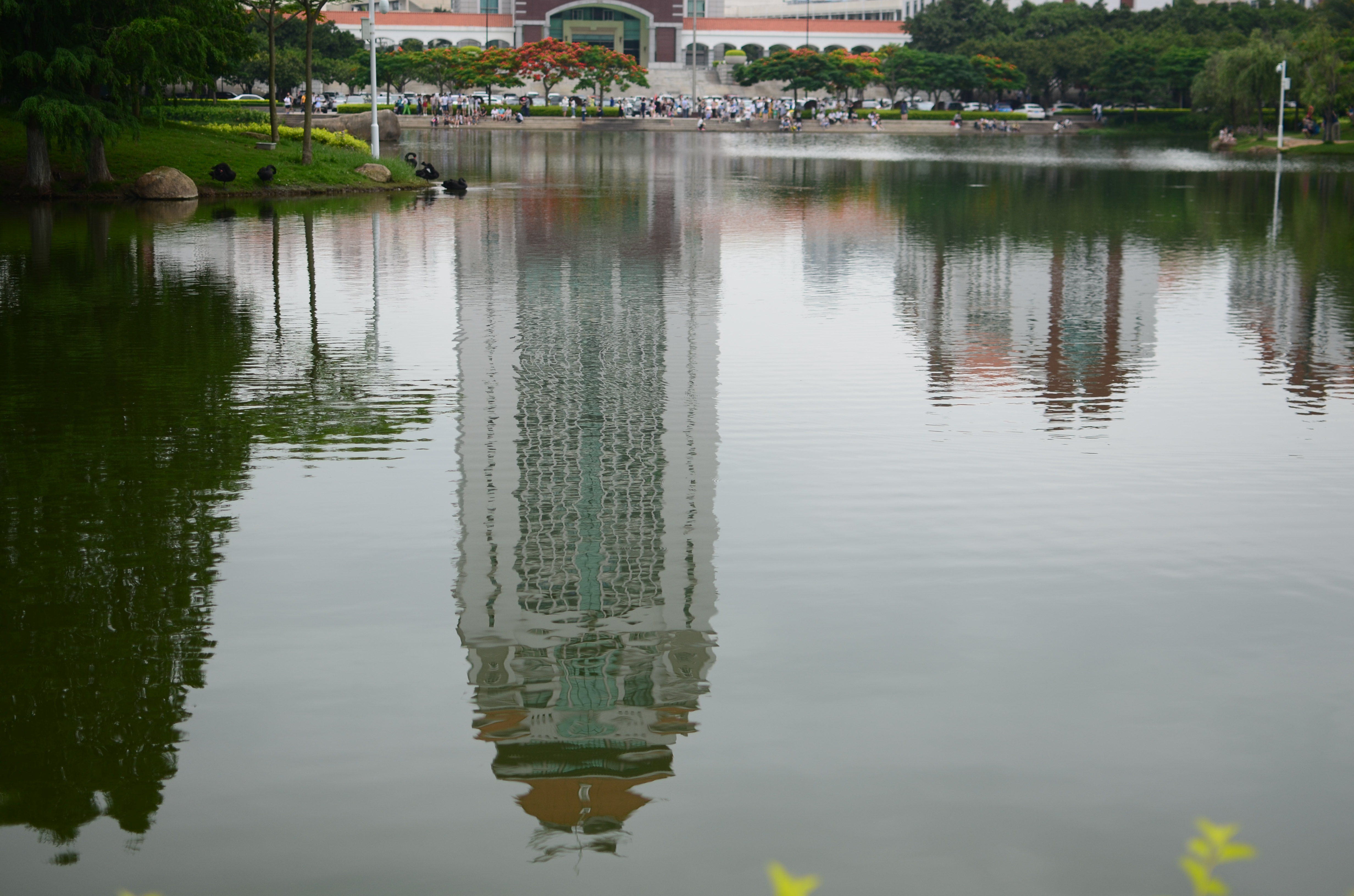 厦门大学