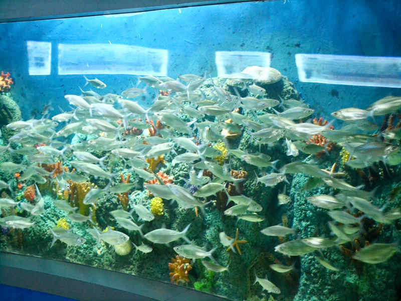 02月22日鄂州天气预报:小雨 气温: 7℃~13℃【