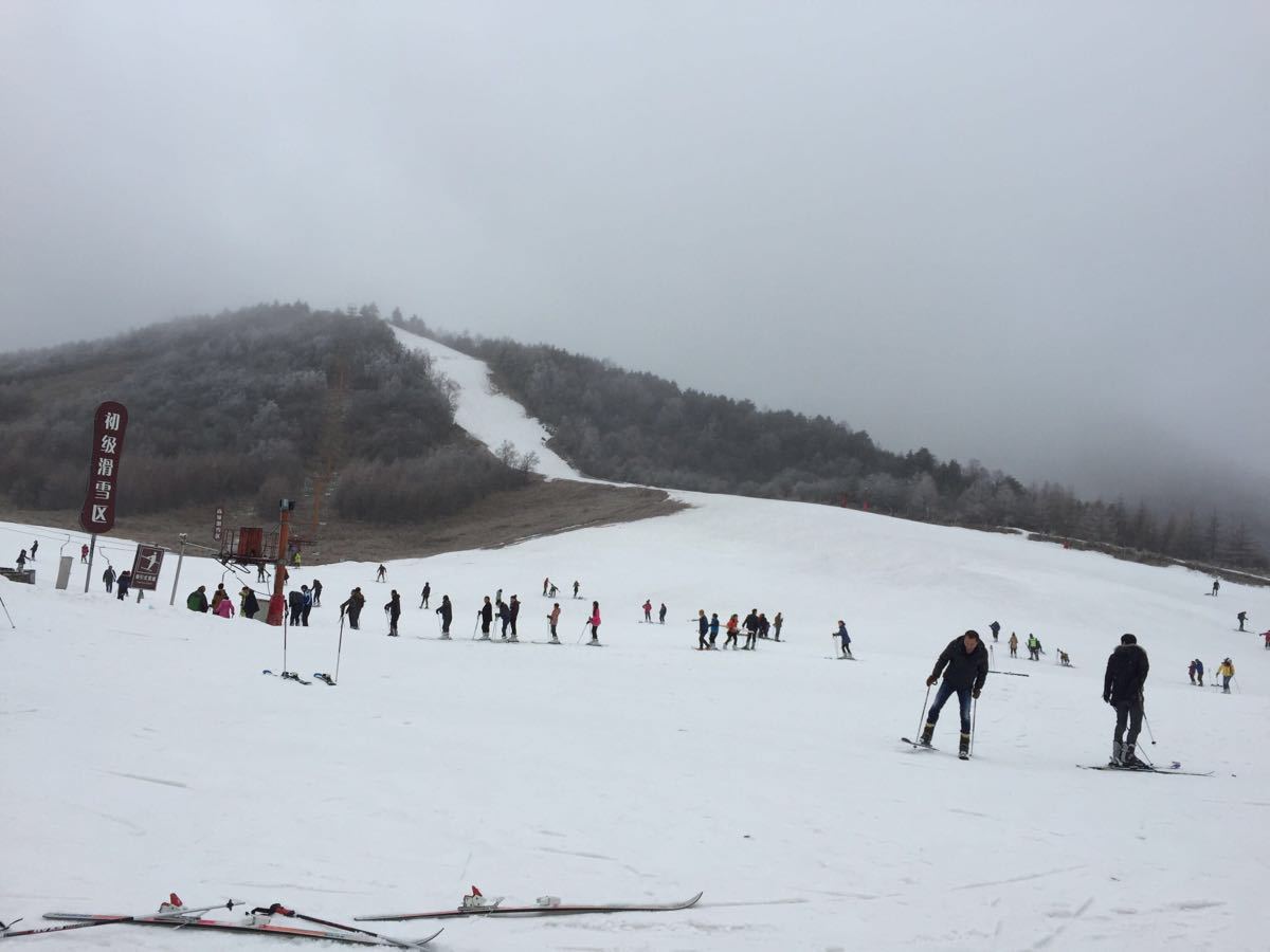 神农架国际滑雪场旅游景点攻略图