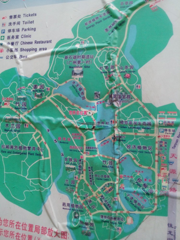 【携程攻略】广东广州中国科学院华南植物园好玩吗,院