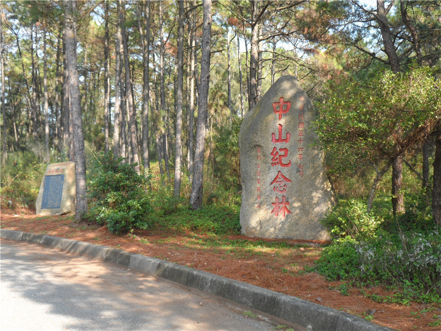中山纪念林是首个于金门县设立的森林游乐区.