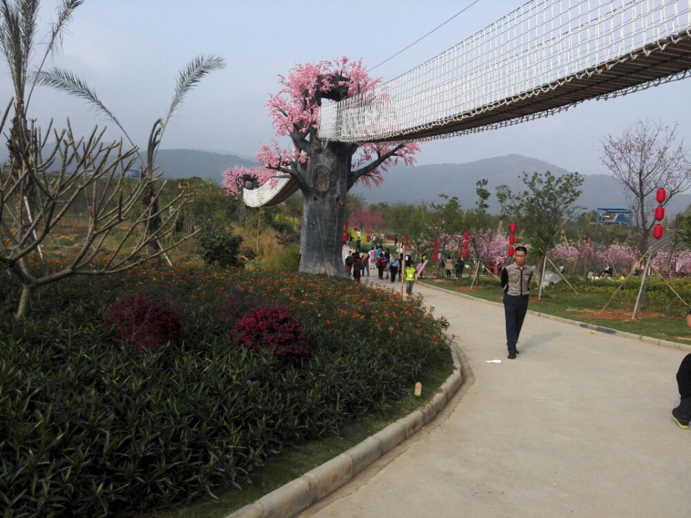 2019天适樱花悠乐园_旅游攻略_门票_地址_游记点评,从化旅游景点推荐