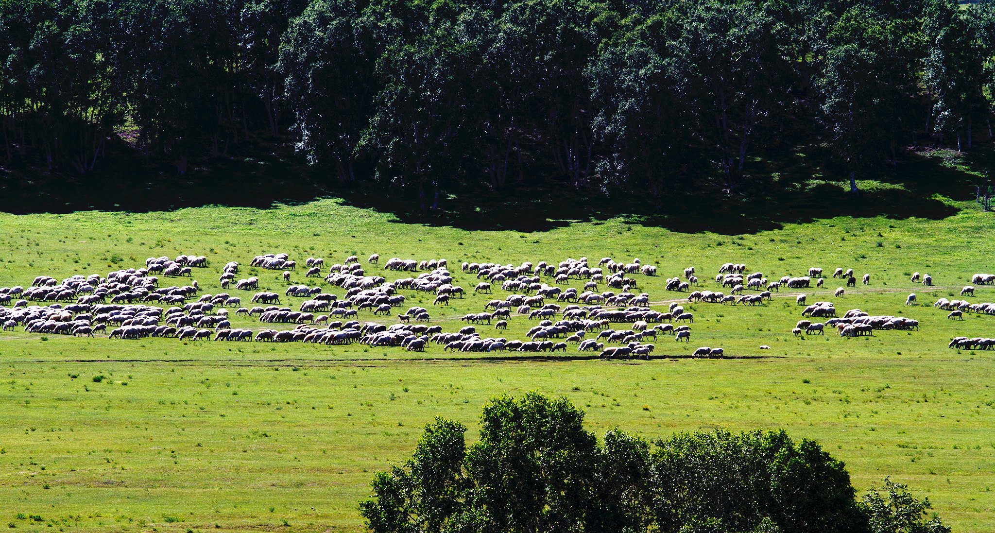 02月17日赤峰天气预报:晴 气温: -11℃~3℃