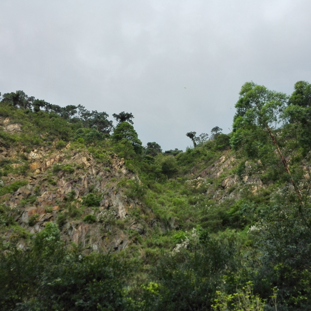 肇庆北岭山森林公园——徒步