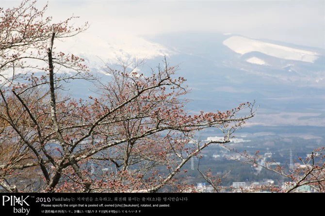 日本平和公园,清幽雅致 - 富士宫市游记攻略