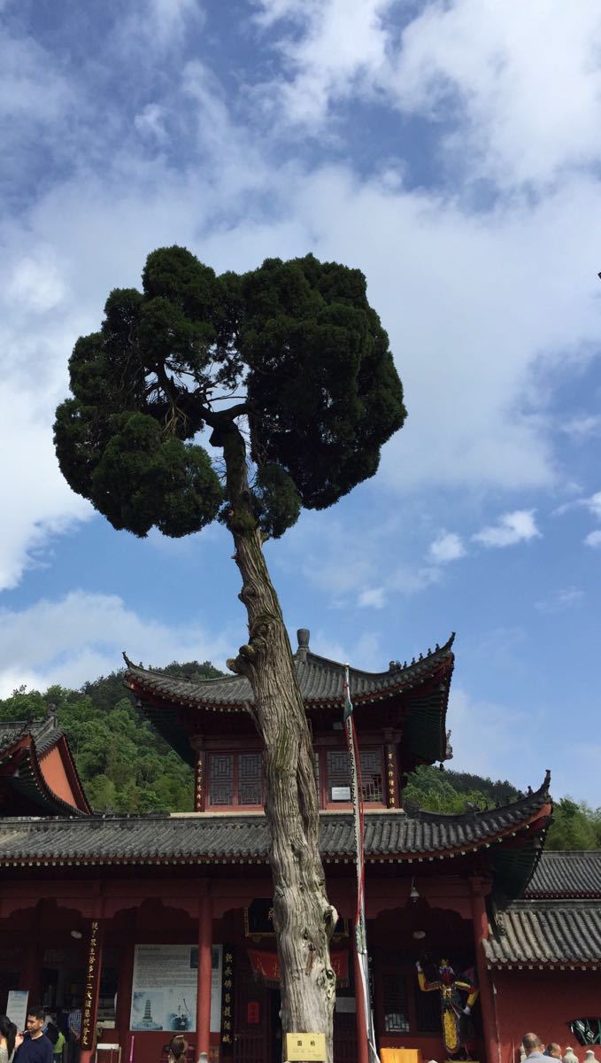 黄梅景点景区图片-黄梅风景名胜图片-黄梅旅游照片