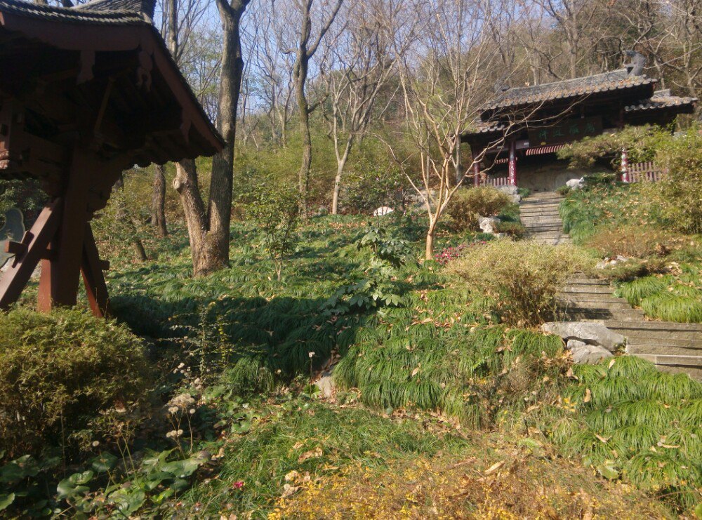 杭州玉皇山