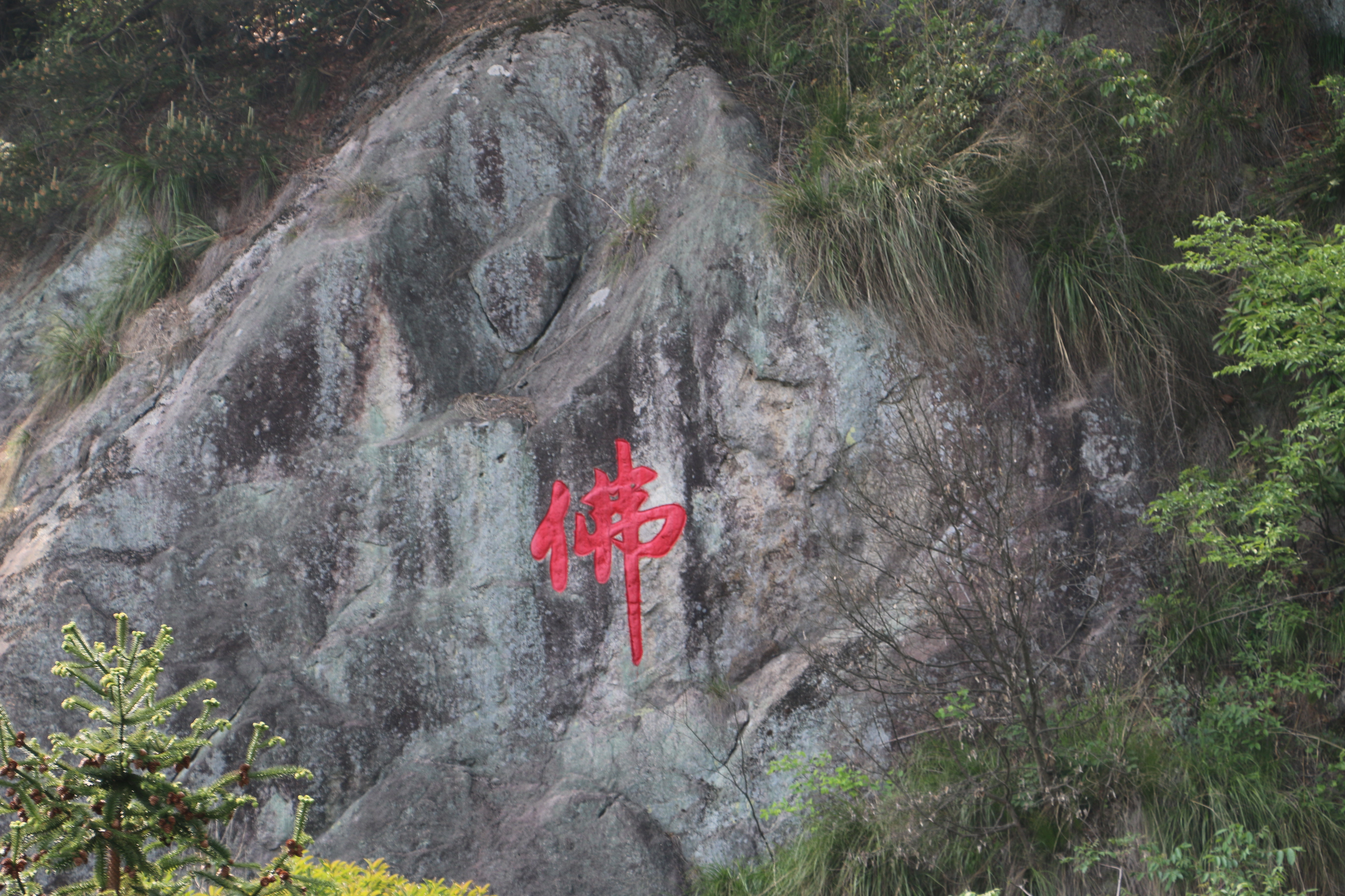 东天目山景区