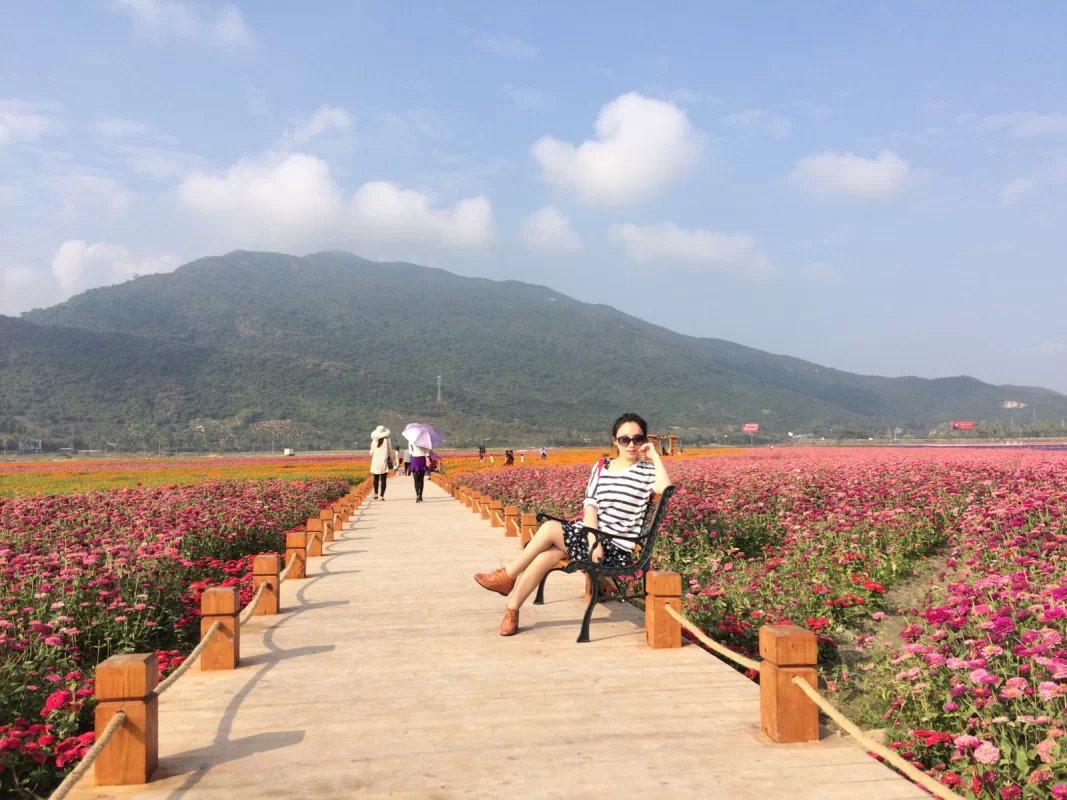 凤凰花海旅游景点攻略图