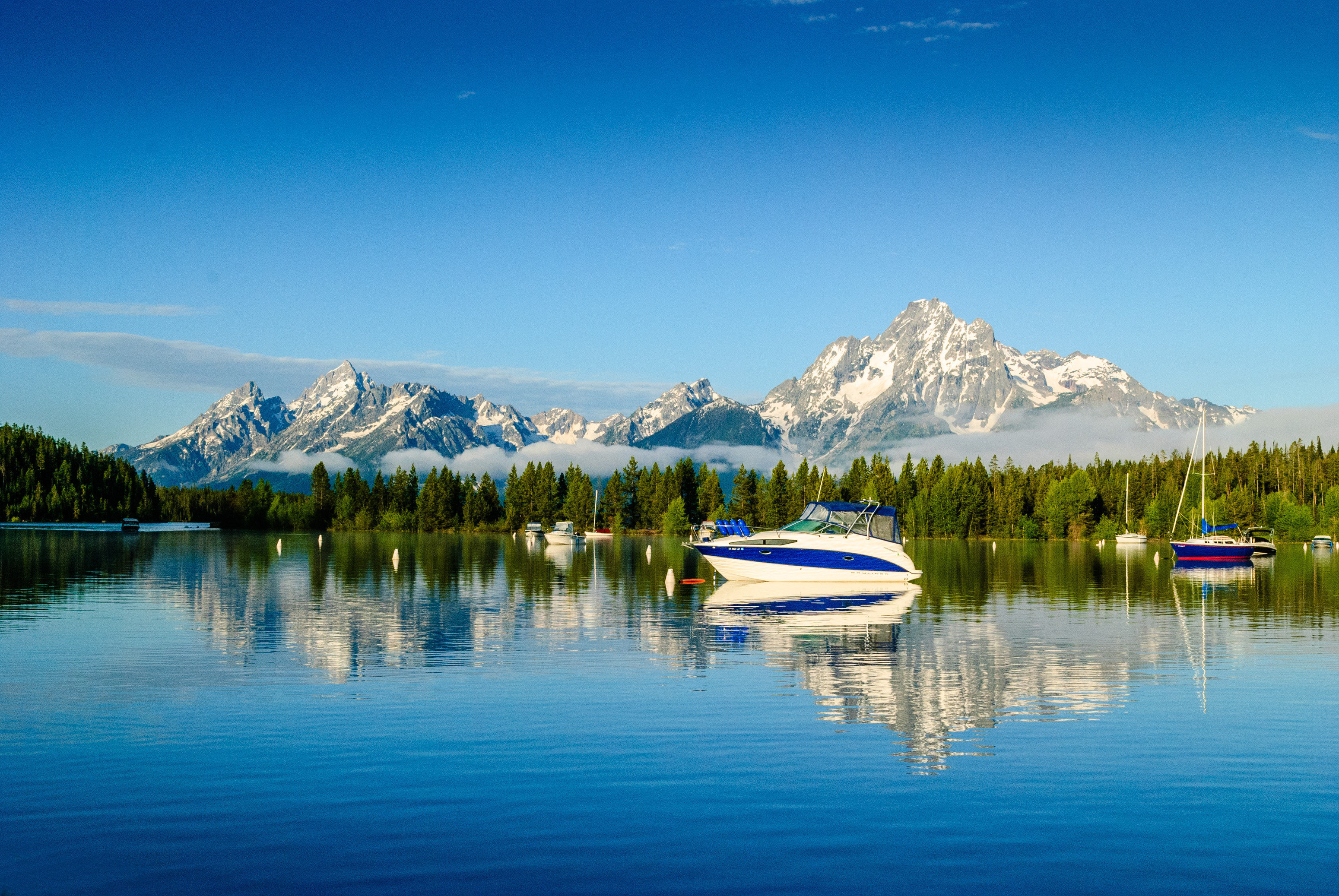 美国黄石国家公园+旧金山6日半自助游·探秘国家公园之旅-【携程旅游】