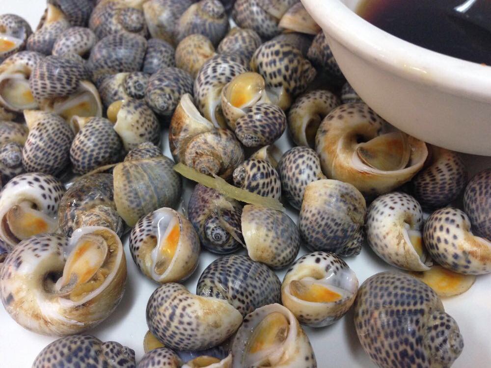 各种螺选择很多,清炒蛤蜊,白灼海螺味道都不错