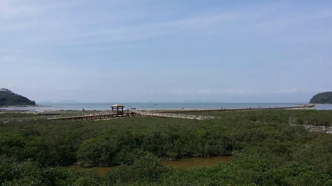 海陵岛红树林湿地公园