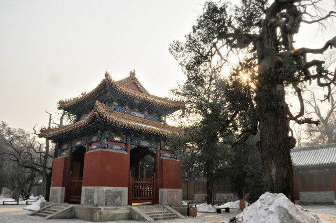 漫步北京城—北京国子监孔庙游记