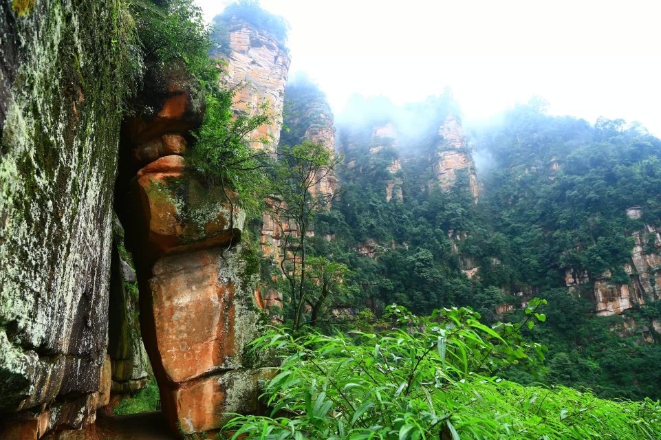 侏罗纪公园4图片