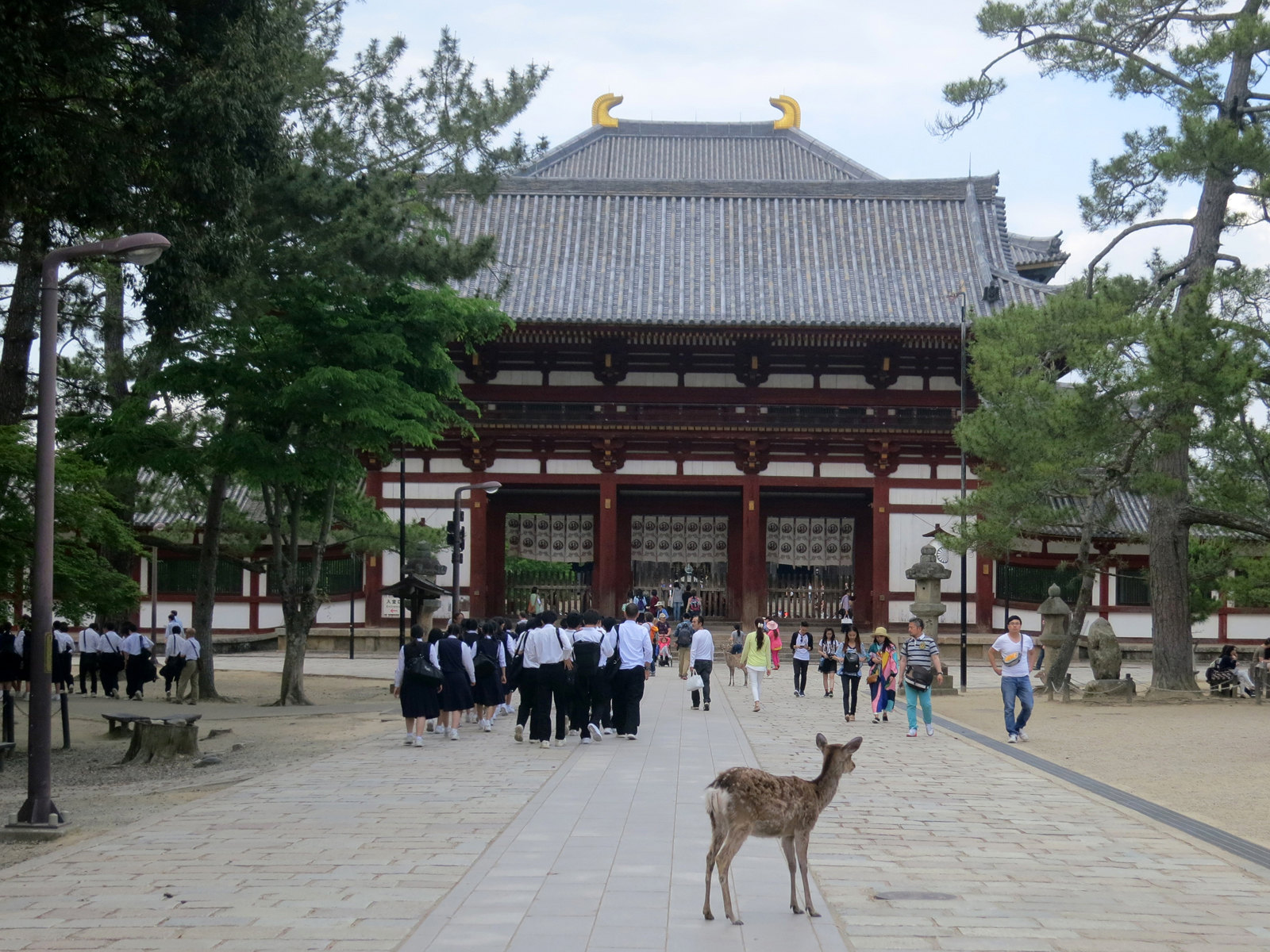 【携程攻略】近畿地方东大寺景点,东大寺位于奈良公园