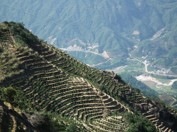 美食之旅·广东汕头2日跟团游·湘子桥 甲第巷