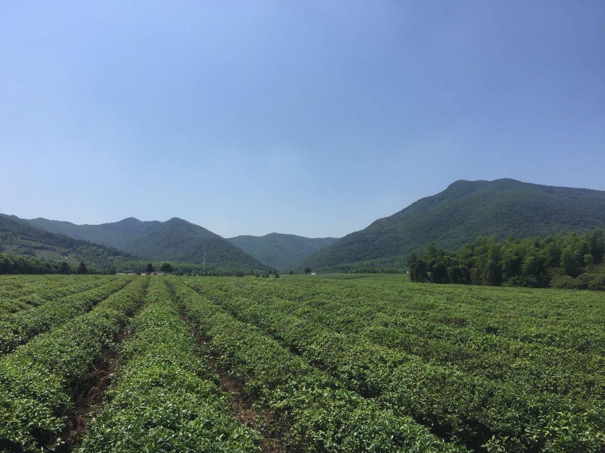 2019龙池山-旅游攻略-门票-地址-问答-游记点评,宜兴旅游旅游景点推荐