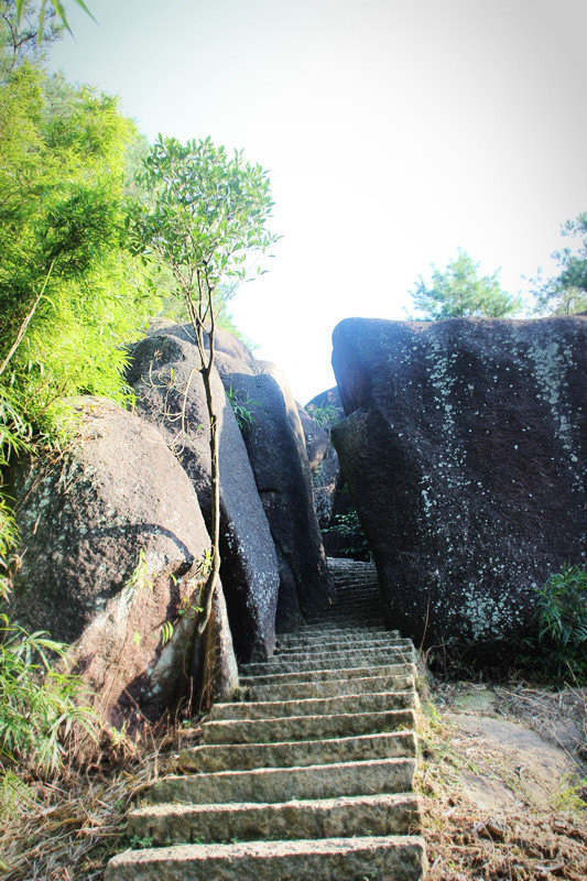 【小蕃鼠爱旅行40】苍南奇岩石聚堂