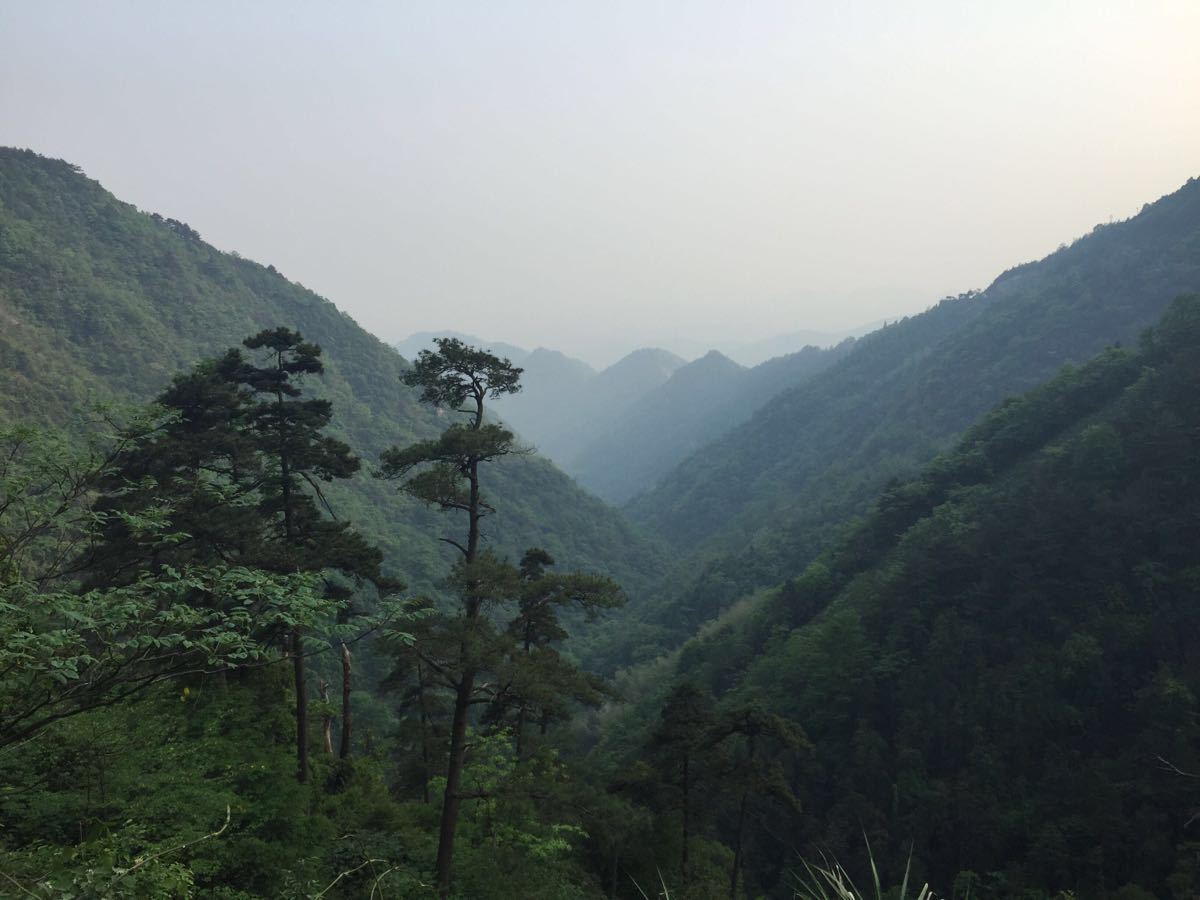 东天目山景区旅游景点攻略图