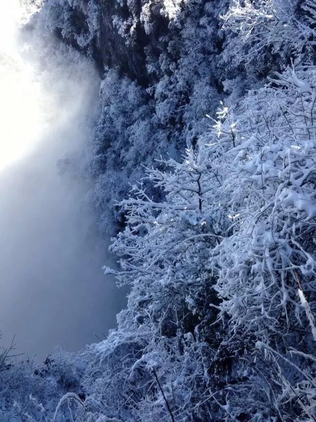 张家界天门山下雪啦~雾凇~云海~冬日阳光