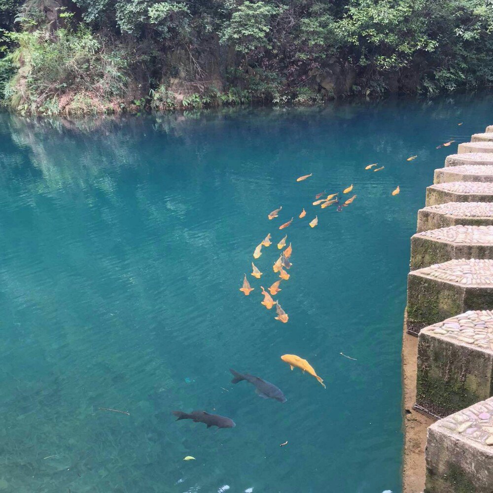 大奇山国家森林公园