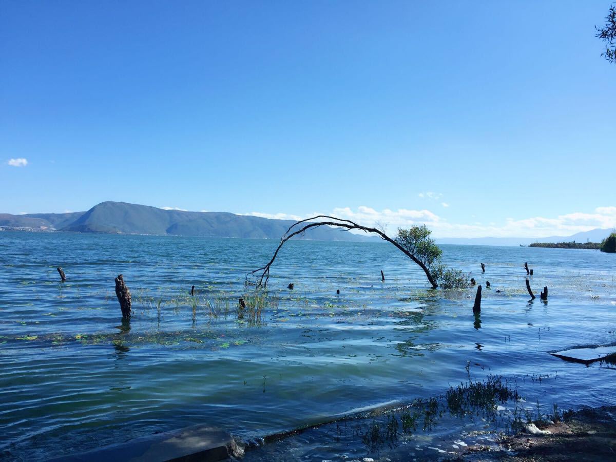 海舌生态公园