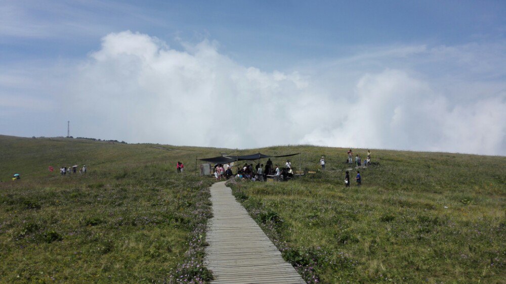 历山舜王坪景区