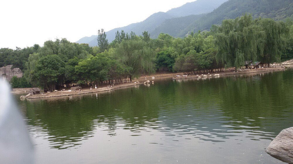 乐山野生动物园旅游景点攻攻略略图秦岭老v攻略图片