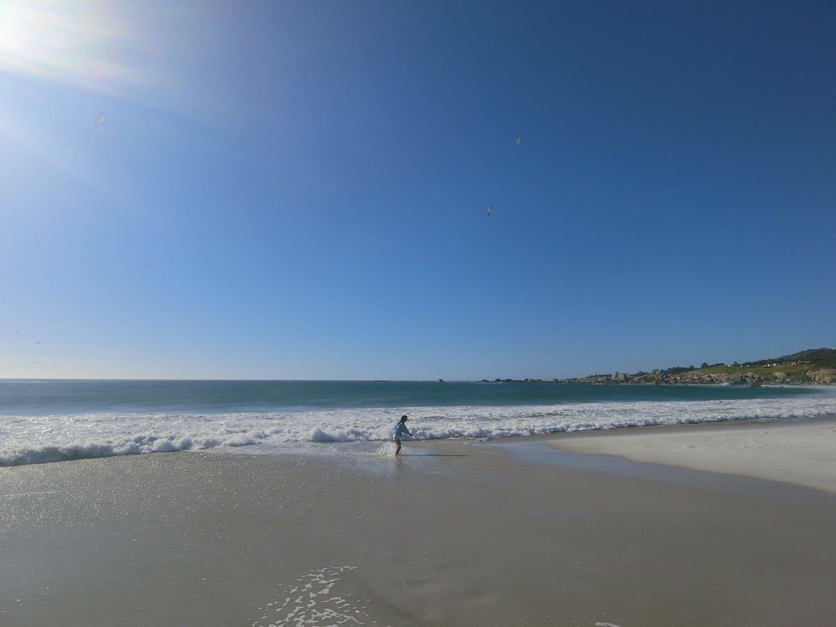 坎普斯海滩camps bay