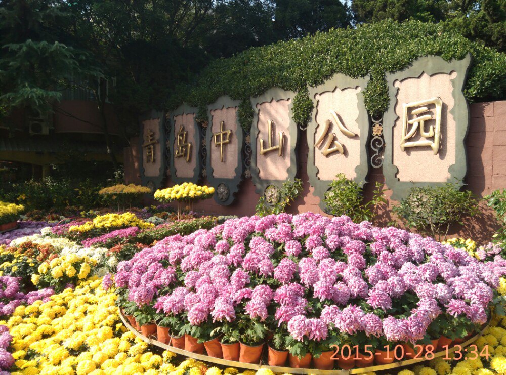 【携程攻略】山东青岛中山公园好玩吗,山东中山公园样