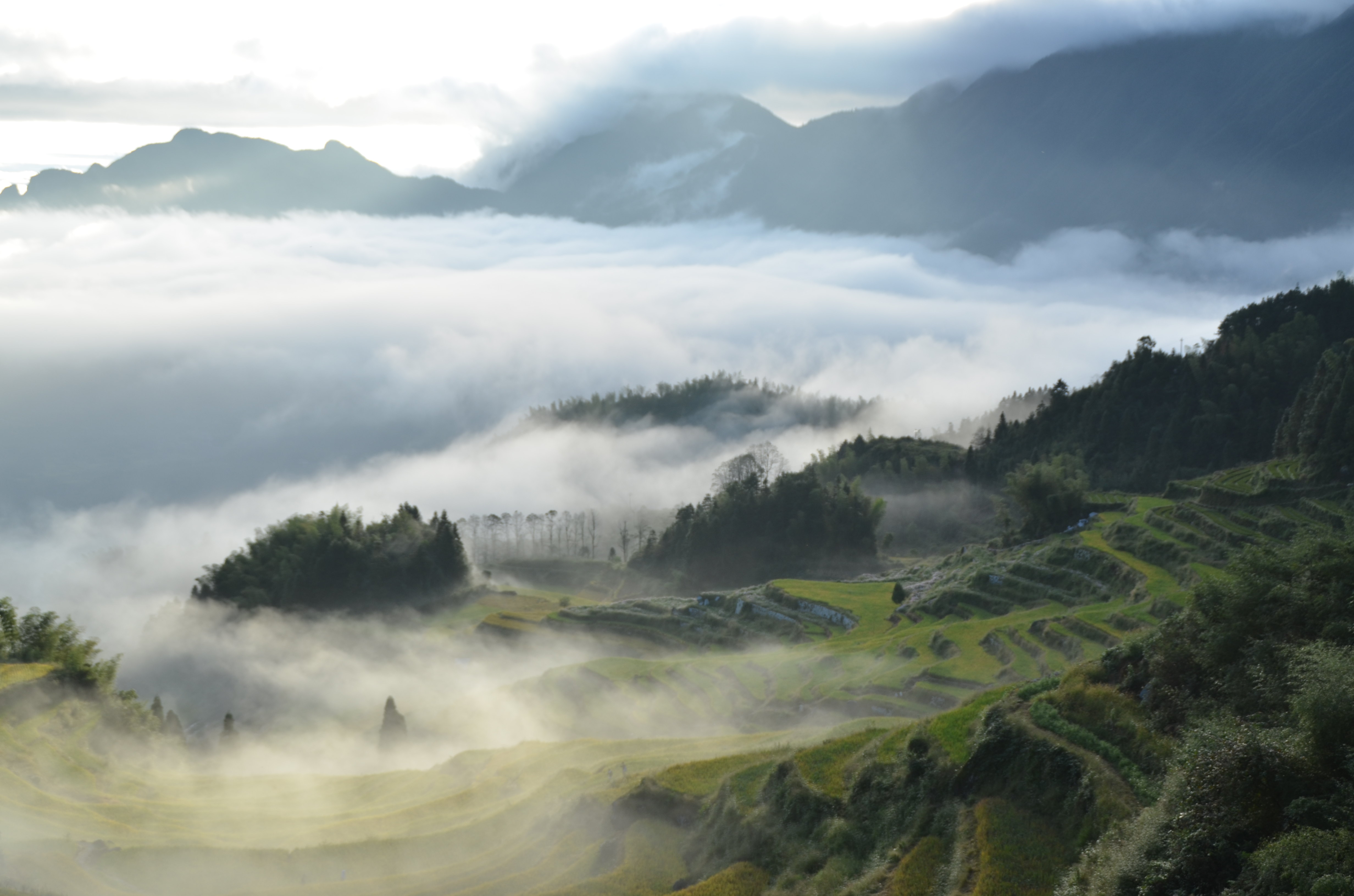 安吉报福镇大树山庄农家乐旅游-安吉报福镇大树山庄农家乐旅游景点-安吉报福镇大树山庄农家乐图片-安吉报福镇大树山庄农家乐攻略、美食-2345旅游