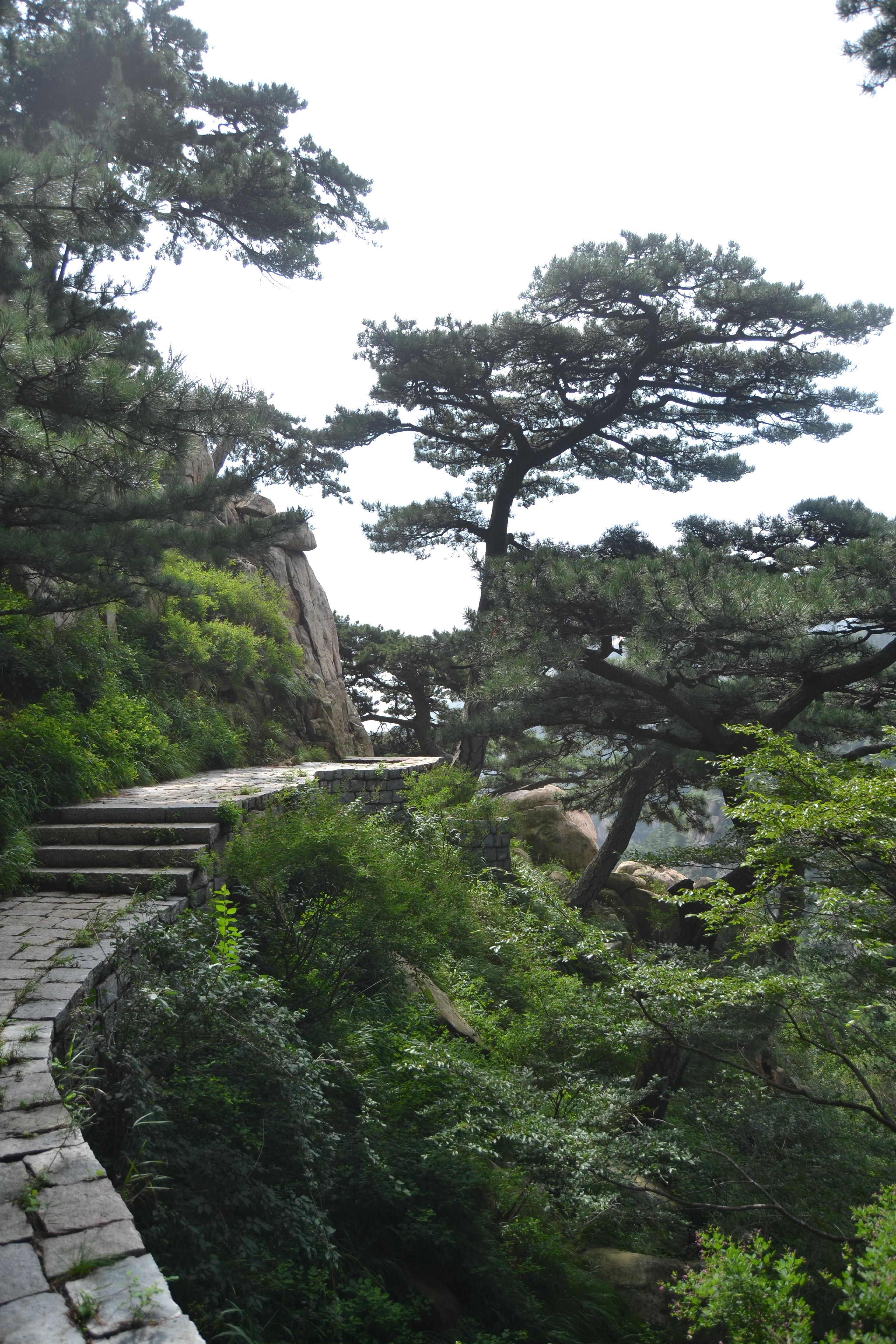 五岳之行第一站——泰山