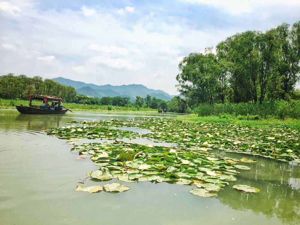 西溪湿地公园平面图