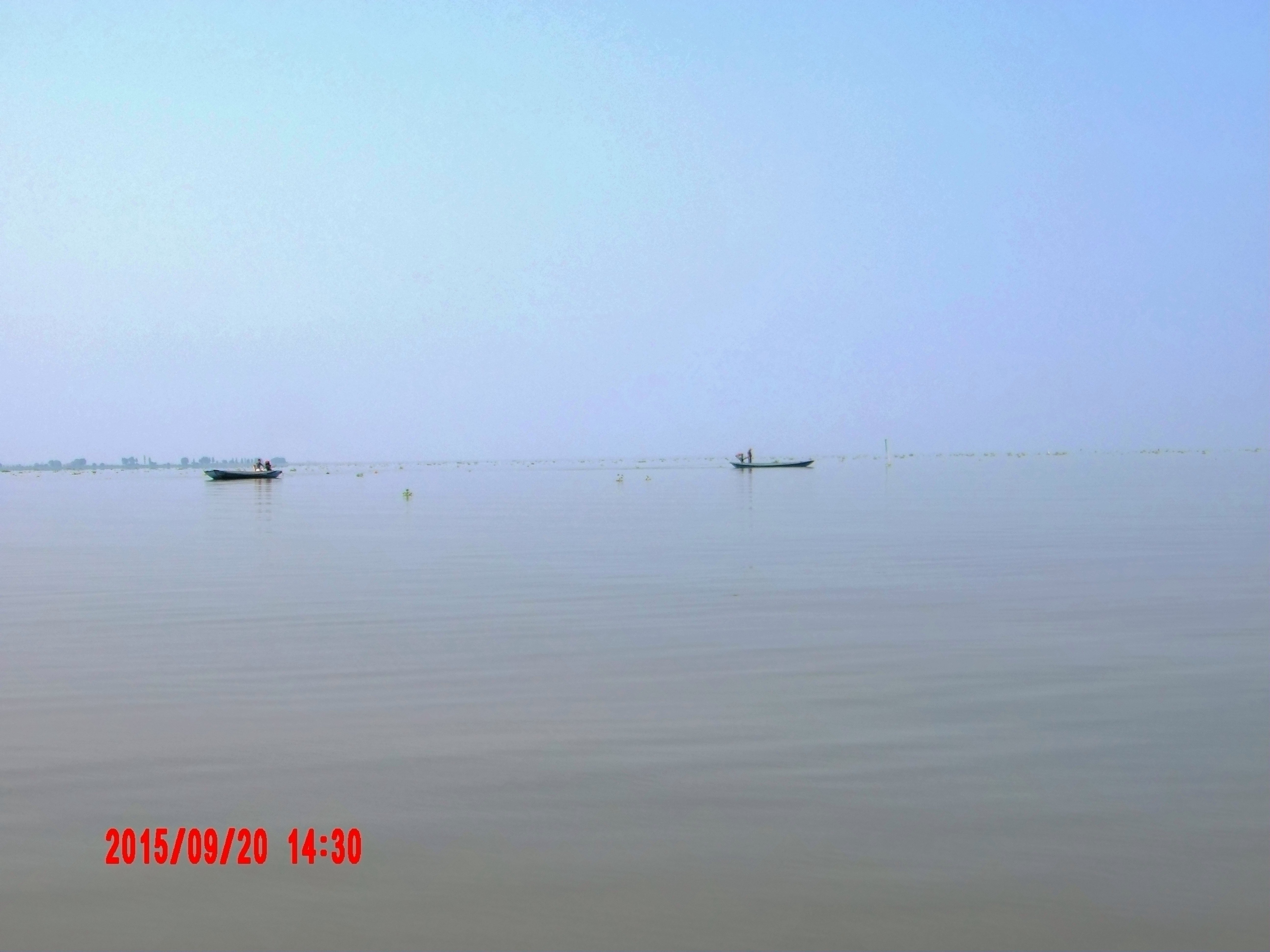                  洪湖大湖区