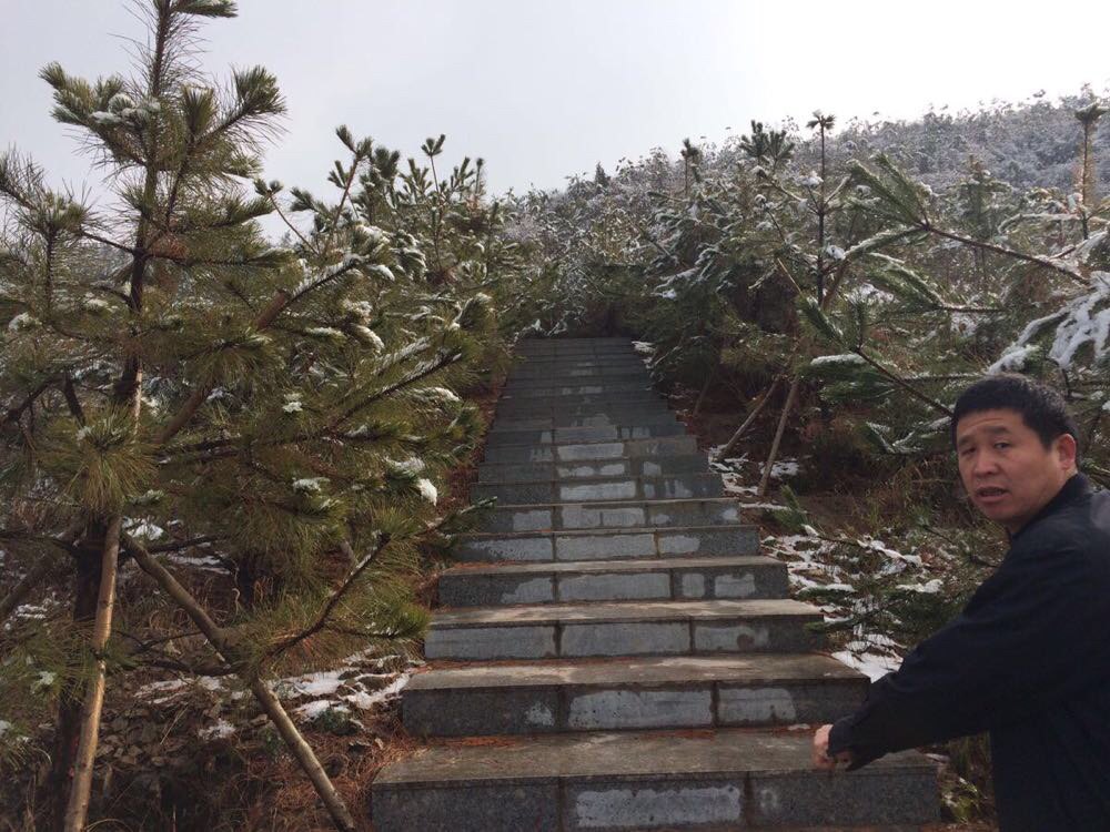 太原东山五龙城郊森林公园                  