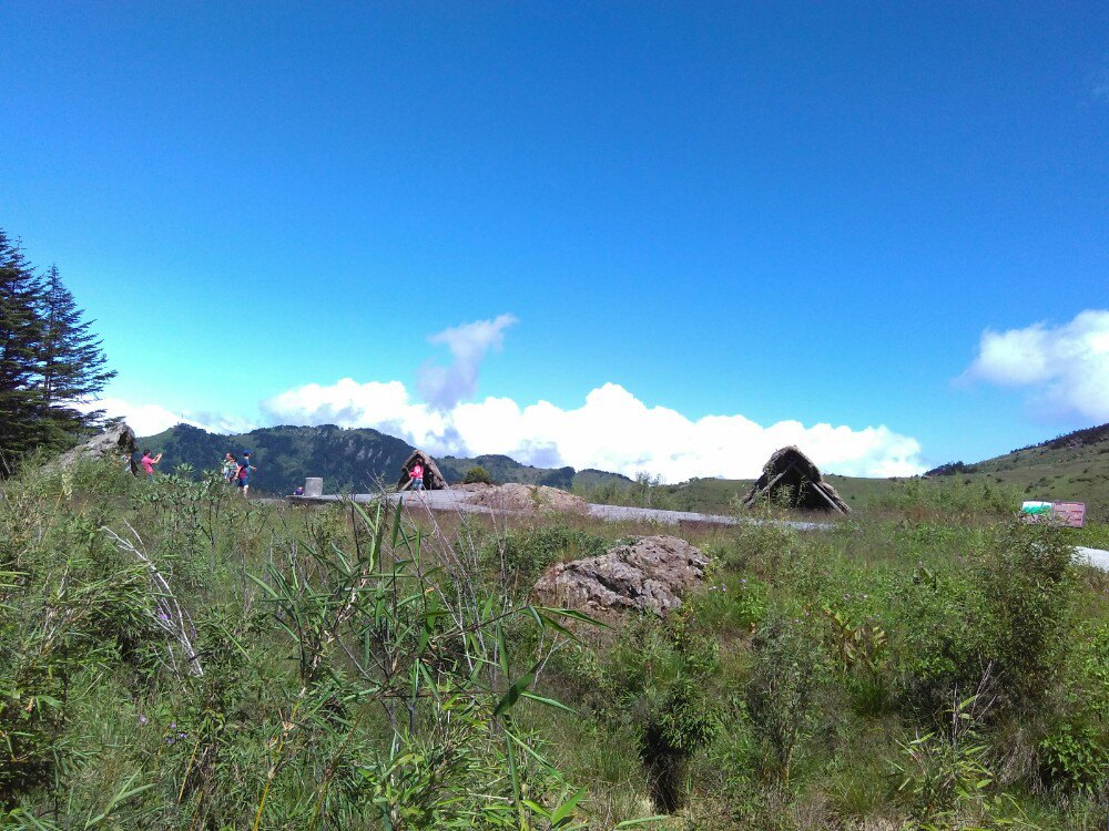 【携程攻略】湖北神农架神农顶好玩吗,湖北神农顶景点