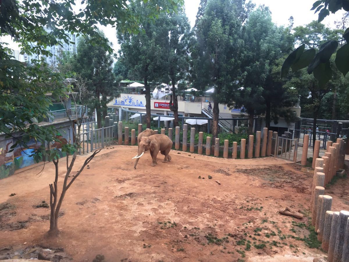 昆明动物园