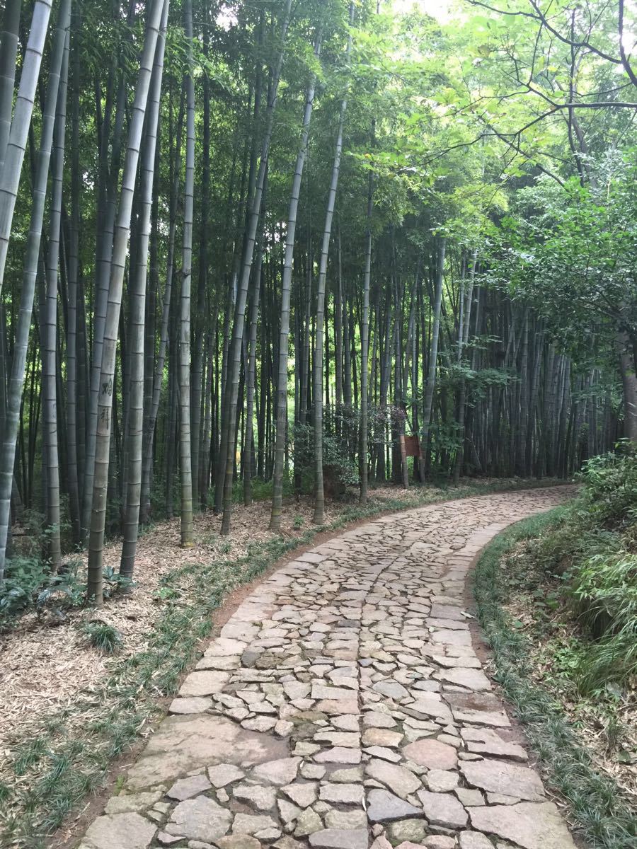 余杭区径山好玩吗,余杭区径山景点怎么样_点评_评价