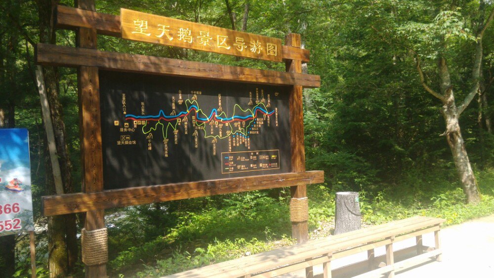 2019望天鹅风景区_旅游攻略_门票_地址_游记点评,池南