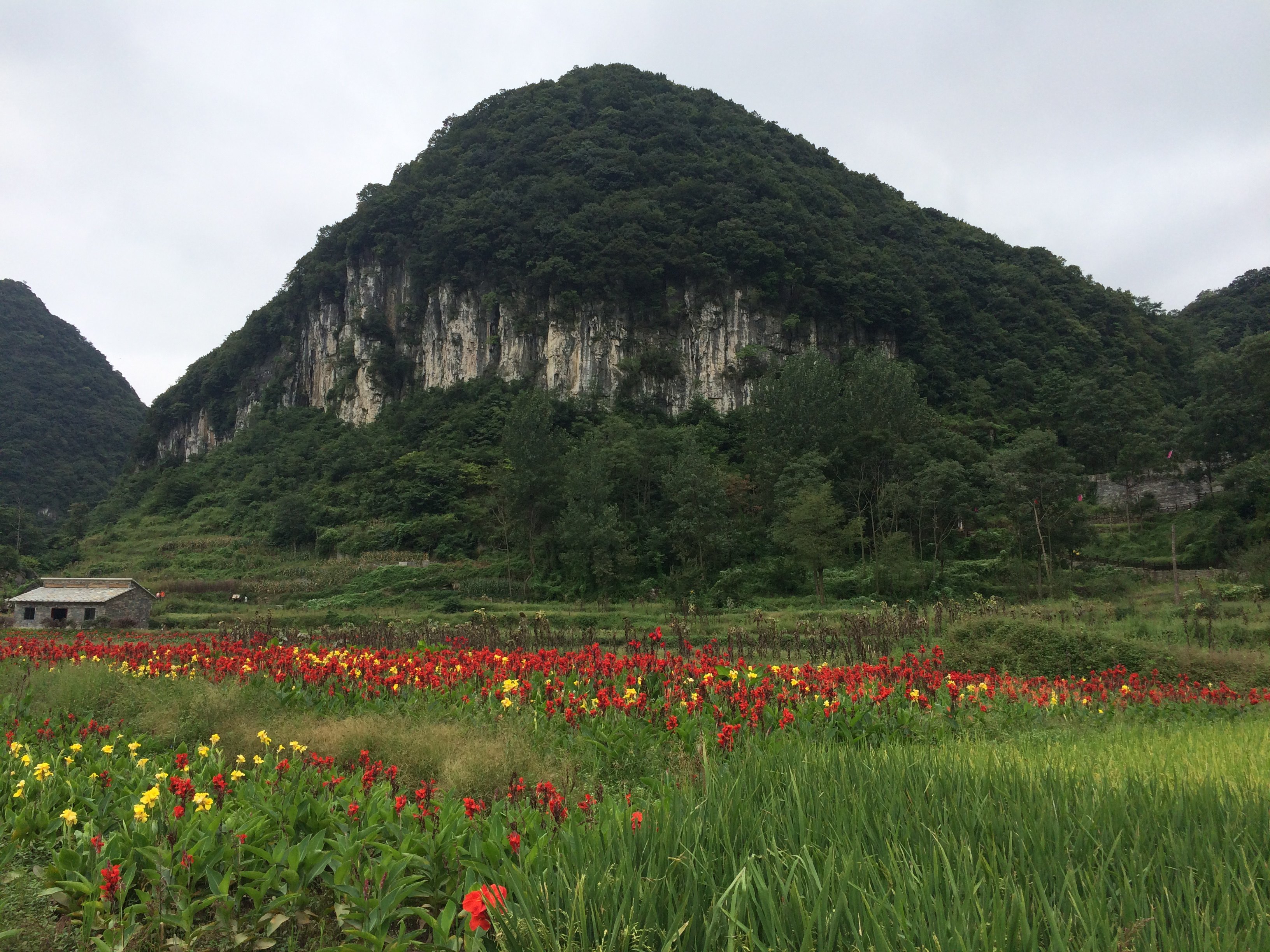 云峰八寨屯堡